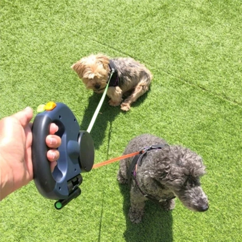 LumiLeash | Dobbelt hundesnor med lys!