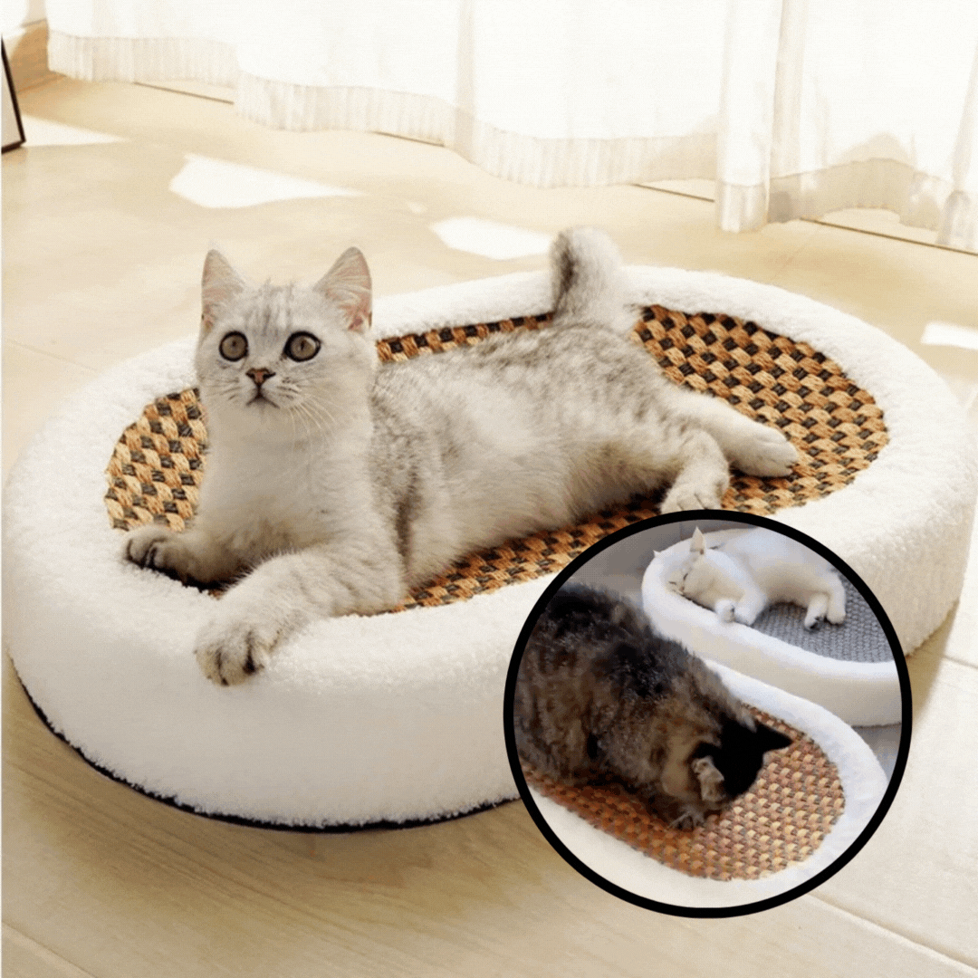 Cat Scratch - Plush kattebed med kradsbare overflader
