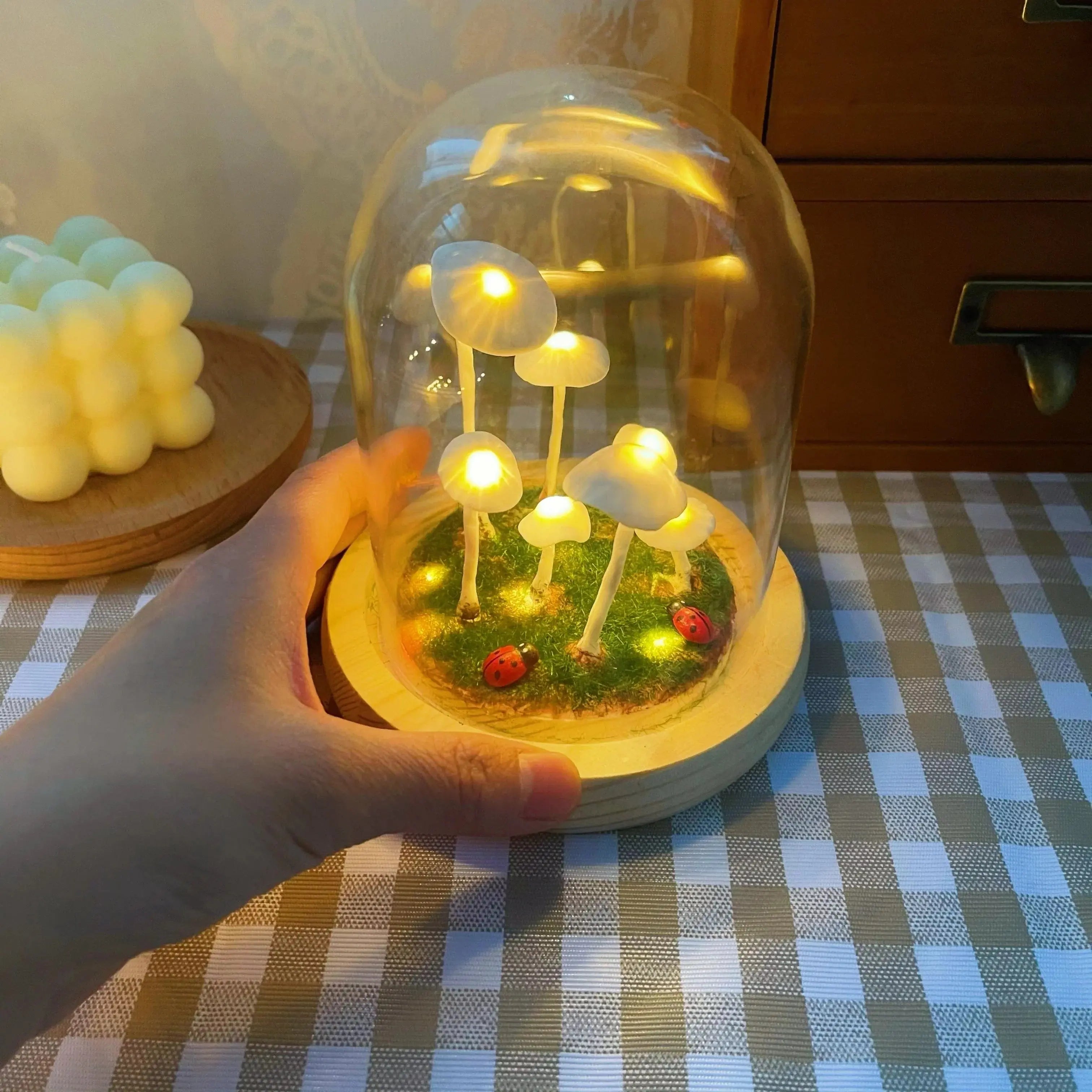 MushLight | Unik Svampelampe!