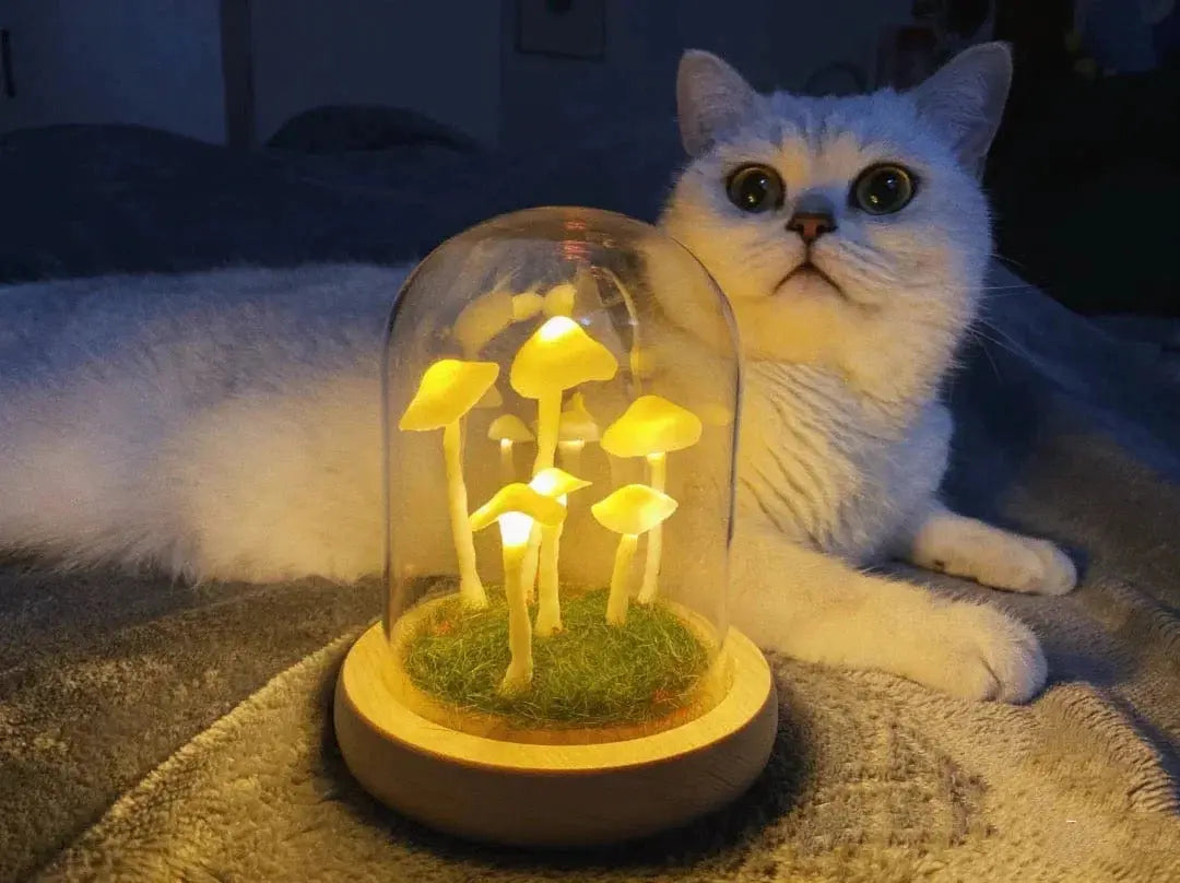 MushLight | Unik Svampelampe!